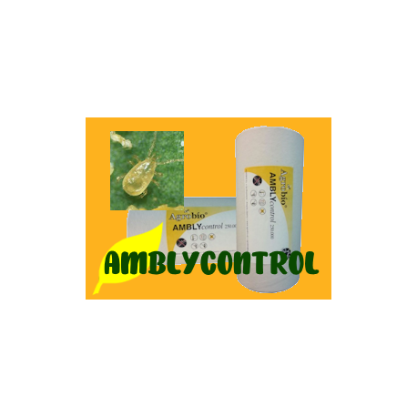 AMBLYcontrol 250.000 AMBLYcontrol 250.000