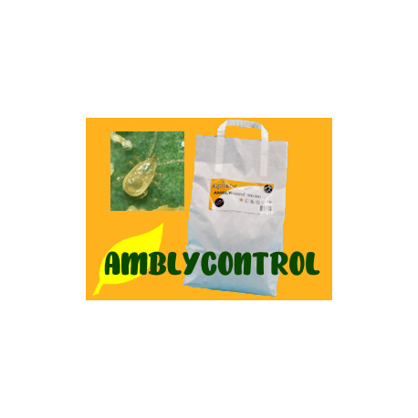 AMBLYcontrol 500.000 AMBLYcontrol 500.000