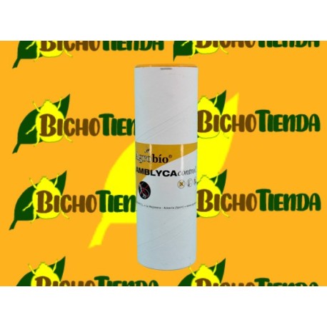 AMBLYCAcontrol 25.000