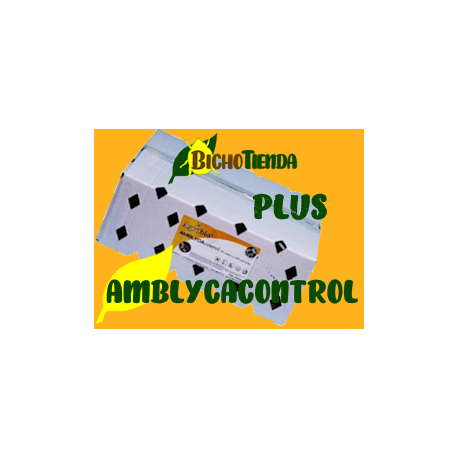 AMBLYCAcontrol 50.000 Caja 500 sobres - PLUS