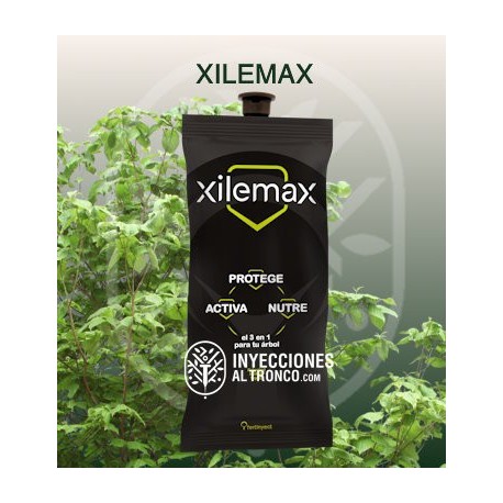 Pack 240 Xilemax