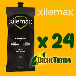 Pack 24 Xilemax