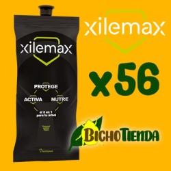Pack 56 Xilemax