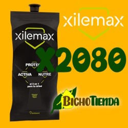 Pack 2080 Xilemax