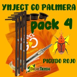 Pack 4 Picudo Rojo