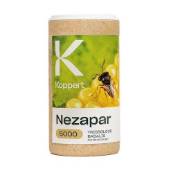 nezapar trissolcus basalis parasitoide chinche verde