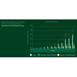 Nezapar (Trissolcus basalis) – Control biológico de chinche verde