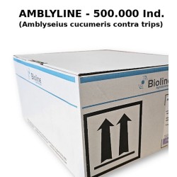 Amblyline 500000 sobres Amblyseius cucumeris contra trips ficha producto