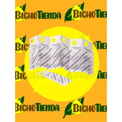 Amblyseius cucumeris 200000 sobres individuales control biológico trips