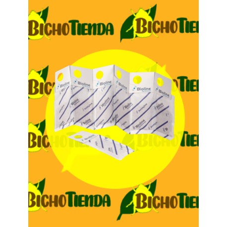 Amblyseius cucumeris 200000 sobres individuales control biológico trips