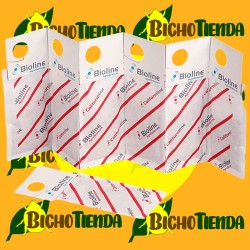 CALIFORNILINE 62500 Ind. 500 mini-sobres (Amblyseius/Neoseiulus californicus)