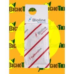 Amblyseius/Neoseiulus californicus