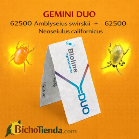 GEMINI DUO 62500 Amblyseius swirskii + 62500 Neoseiulus californicus