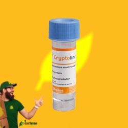 Mariquitas Cryptolaemus Montrouzieri, 500 larvas (vs cochinilla algodonosa) CRYPTOLINE