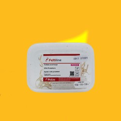 Feltiella acarisuga 250 ind. Bandeja FELTILINE