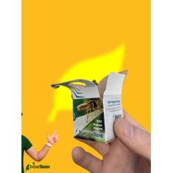 100 pupas Sphaerophoria rueppellii (pulgón y psila) Rueppelline