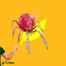 Phytoline Active® 10000 ind. bote Phytoseiulus persimilis (araña roja)