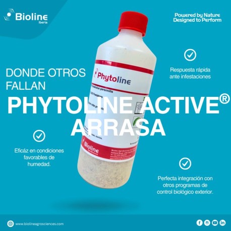 Phytoline Active® 10000 ind. bote Phytoseiulus persimilis (araña roja)