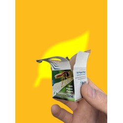 500 larvas Sphaerophoria rueppellii (pulgón y psila) Rueppelline