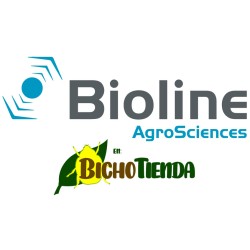 500 larvas Sphaerophoria rueppellii (pulgón y psila) Rueppelline