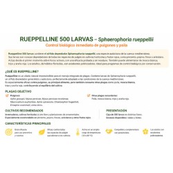 1000 larvas Sphaerophoria rueppellii (pulgón y psila) Tubo Rueppelline