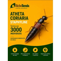 atheta coriaria control mosca mantillo