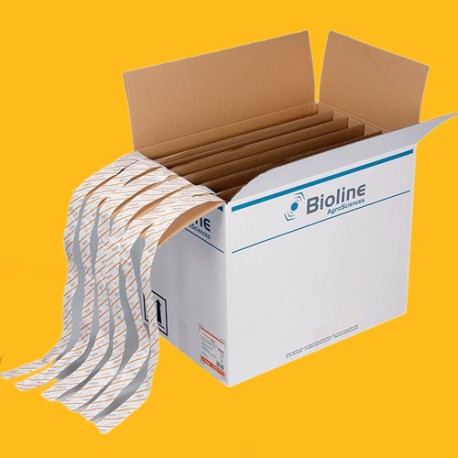Starskii Amblyseius swirskii 125000 ind. Bugline (6 tiras de 100 m)