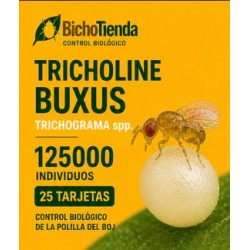 Tricholine Buxus Trichogramma spp. 125000 ind. 25 tarjetas (polilla del boj)