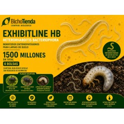 Heterorhabditis bacteriophora 1500 Mill. 6 bolsas Exhibitline HB (larvas de suelo)