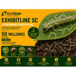 Steinernema carpocapsae 50 Mill. Exhibitline SC (larvas de suelo)