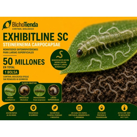 Steinernema carpocapsae 50 Mill. Exhibitline SC (larvas de suelo)