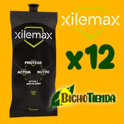 pack 12 ynject xilemax para árboles y palmeras