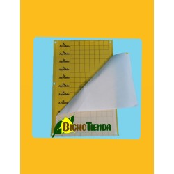 pack 12 placas amarillas adhesivas 40x25 cm