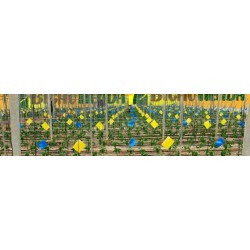 pack 12 placas amarillas adhesivas 40x25 cm