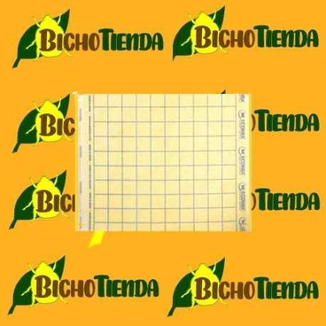 Placas Amarillas cola húmeda 20 x 25 cm