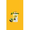 ORIcontrol 2.000 Orius laevigatus ninfas y adultos