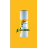 MONcontrol 25.000 Amblyseius contra mosca blanca y trips