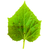 AGRARES AphiSTOP, envase 5L