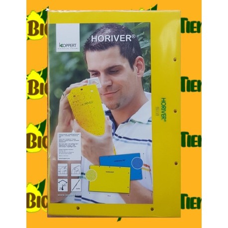 Horiver 40x25 amarillo