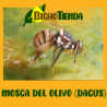 Feromona DACUS CILIATUS 90 DÍAS, Econex