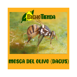 DACUSNEX® COMBI 90 DÍAS ENV. 1 UD. (atrayente+feromona Bactrocera oleae)