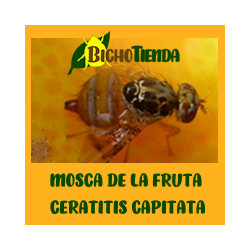 CERATINEX® ATRAYENTE ENV. 5 KG (Atrayente para Ceratitis capitata)
