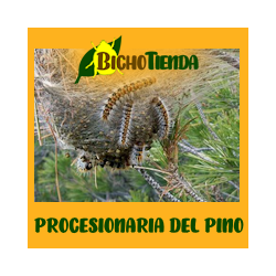 PROCESS atrap Expert (adultos procesionaria del pino)