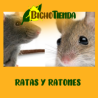 TRAMPA PARA RATAS de Econex