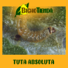 TRICHOcontrol 50.000