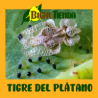 Capirel 1500 Millones (contol biológico lepidópteros frutales)
