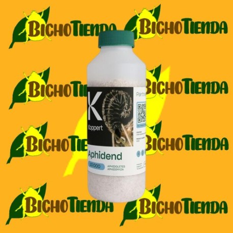 Aphidend 1000 - Aphidoletes aphidimyza Aphidend 1000 - Aphidoletes aphidimyza