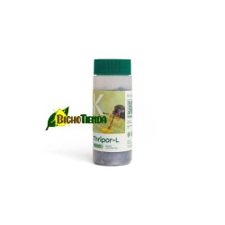 Thripor-L 2000 Orius laevigatus
