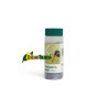 Thripor-L 2000 Orius laevigatus