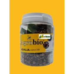 Adaliacontrol 100 Larvas mariquita bipunctata (pulgón) - Agrobío